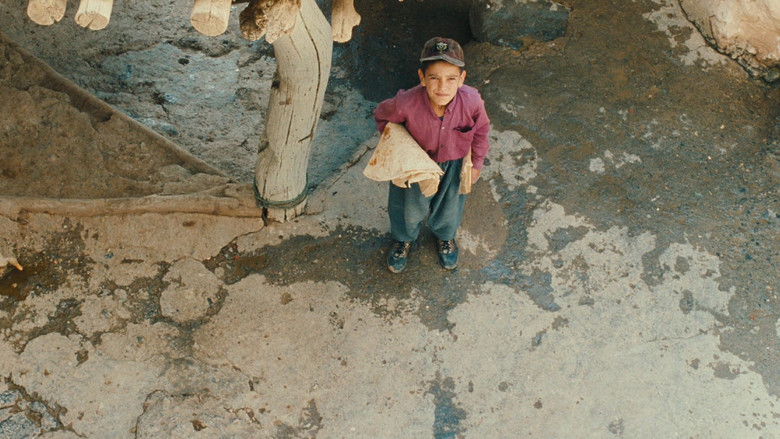 кадр из фильма Нас унесет ветер