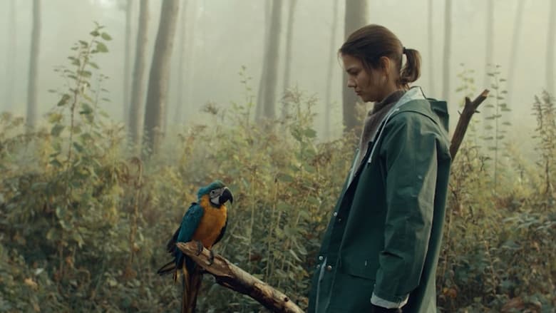 кадр из фильма Kommt ein Vogel geflogen