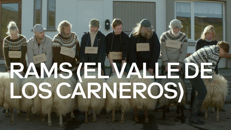 кадр из фильма Бараны