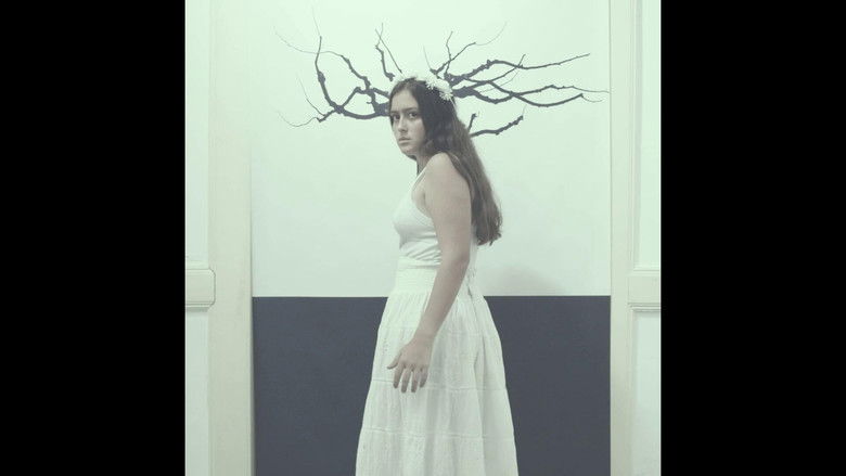 кадр из фильма Belmiro, Belmiro, Belmiro