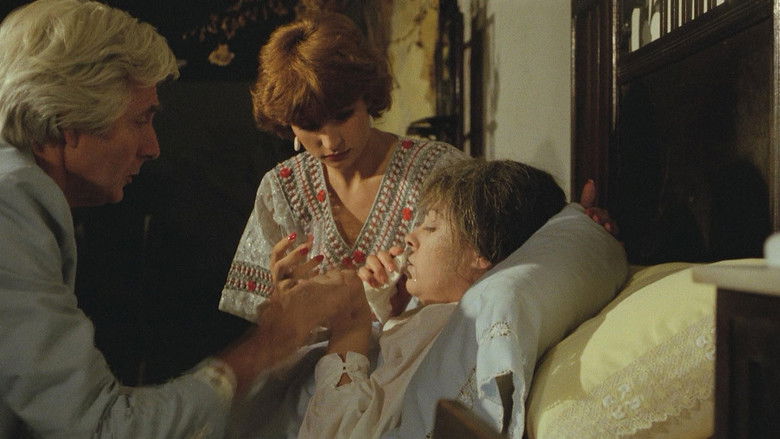 кадр из фильма Сокровища белой богини