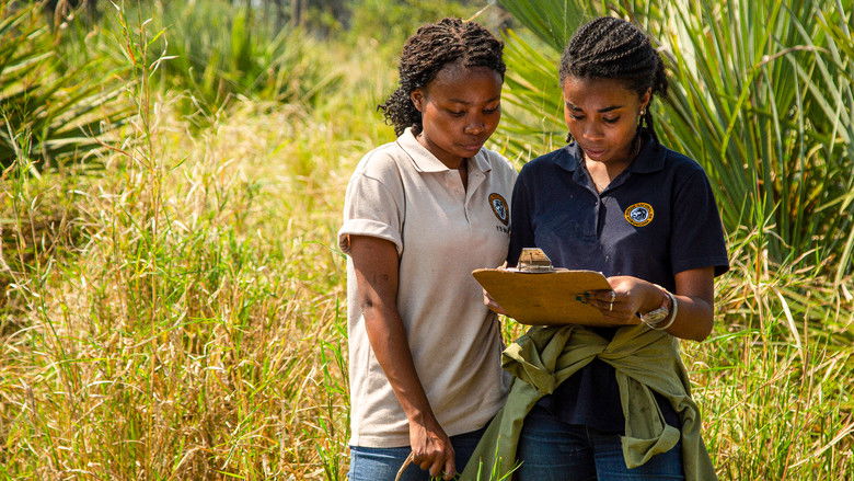 кадр из фильма Gorongosa: Paradise Reborn