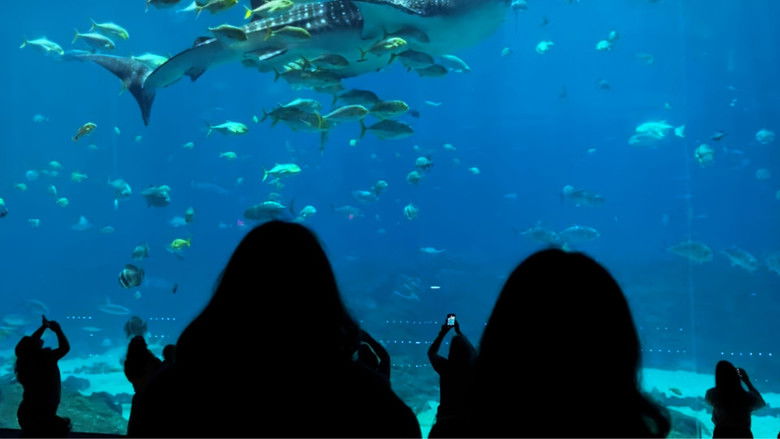 кадр из фильма Eighteen