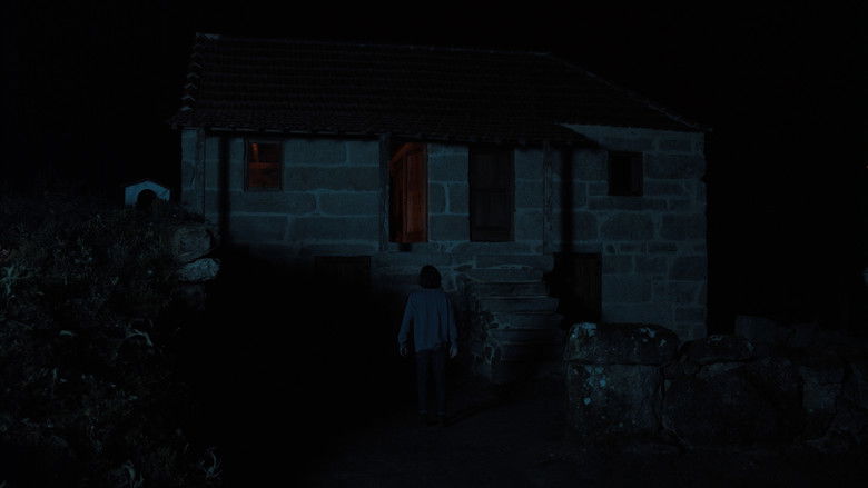 кадр из фильма A Floresta