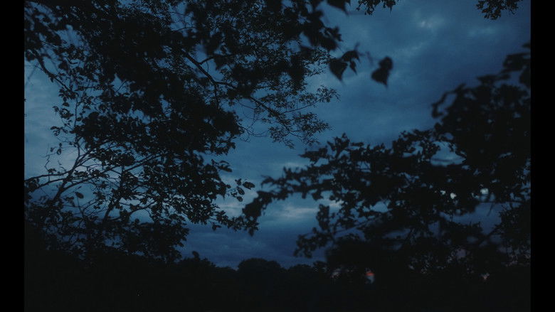 кадр из фильма Everything In This World Is Exactly What It Is