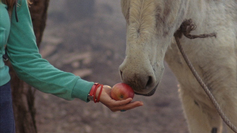 кадр из фильма Heitor Sem Nome