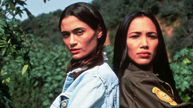 кадр из фильма Навахо-блюз