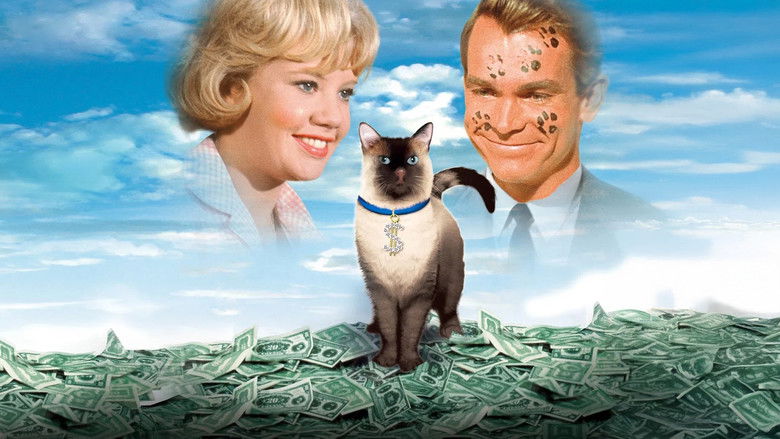 кадр из фильма Эта дикая кошка