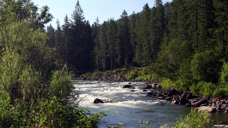 кадр из фильма Там, где течёт река