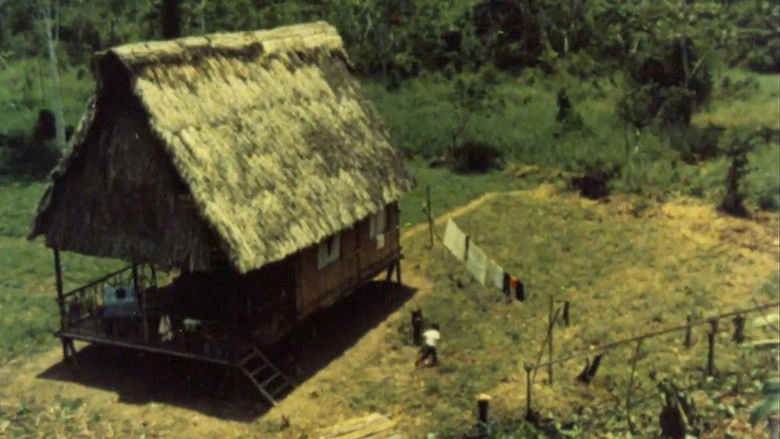 кадр из фильма La muralla verde