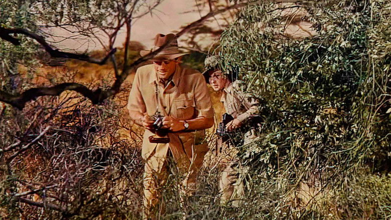 кадр из фильма Снега Килиманджаро