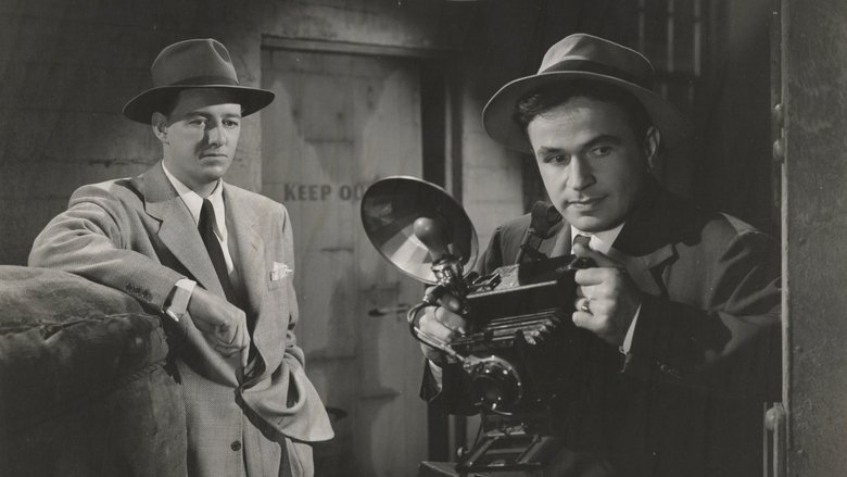 кадр из фильма The Cat Creeps