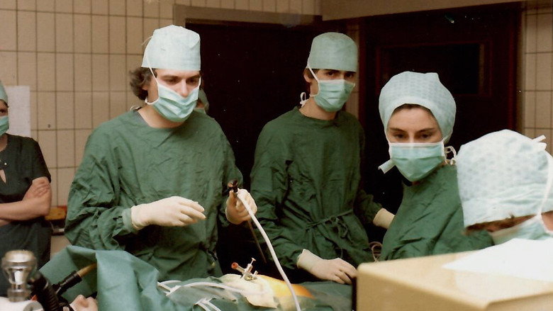IVF in België