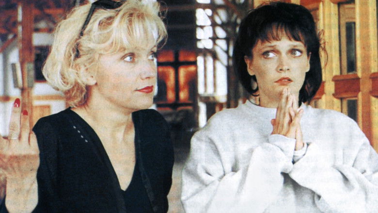 кадр из фильма Pajęczarki