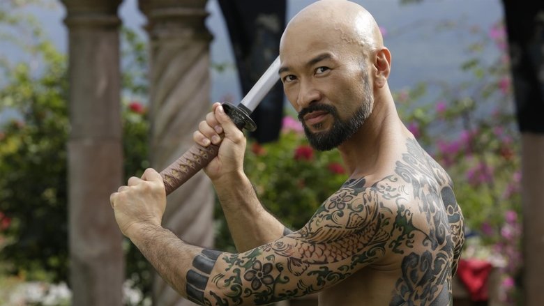 Восхождение Сокола