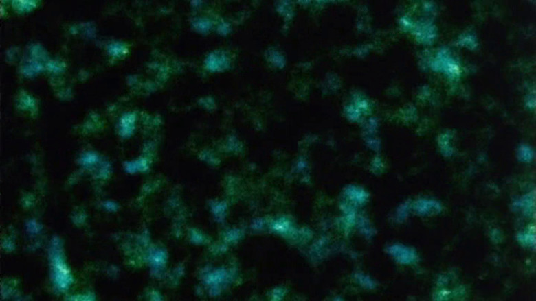 кадр из фильма Pneuma