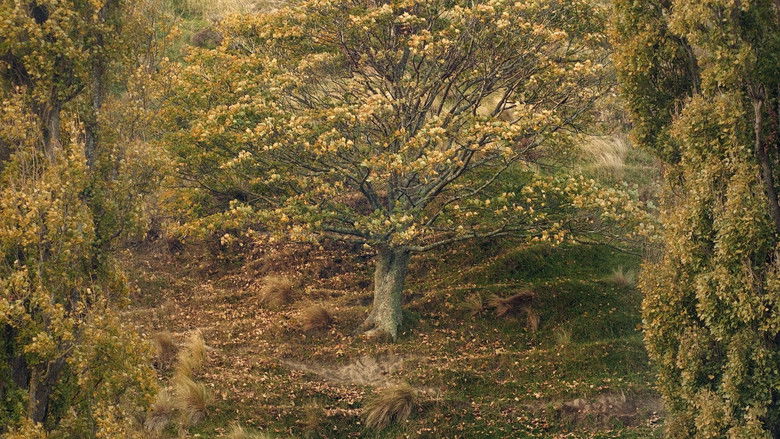 кадр из фильма Garden of Clay