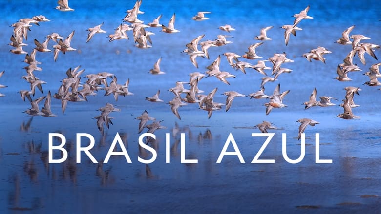 кадр из фильма Brasil Azul