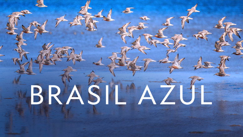 кадр из фильма Brasil Azul