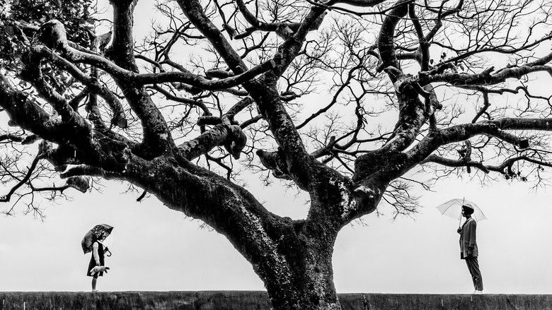 кадр из фильма 謎絲