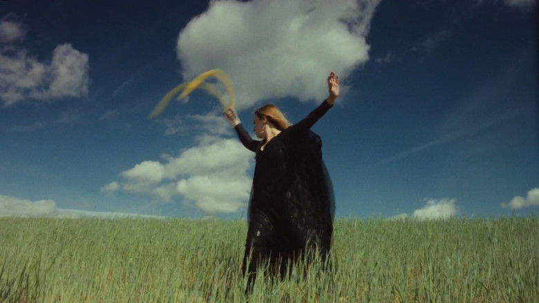 кадр из фильма Песчаная роза