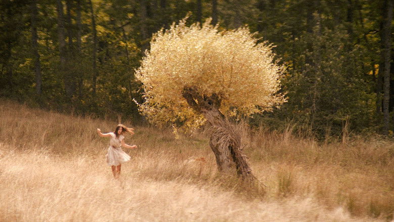 кадр из фильма Lucania