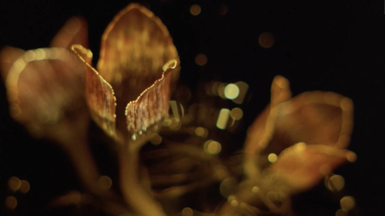 кадр из фильма 銀座ネオン街　女の絶頂