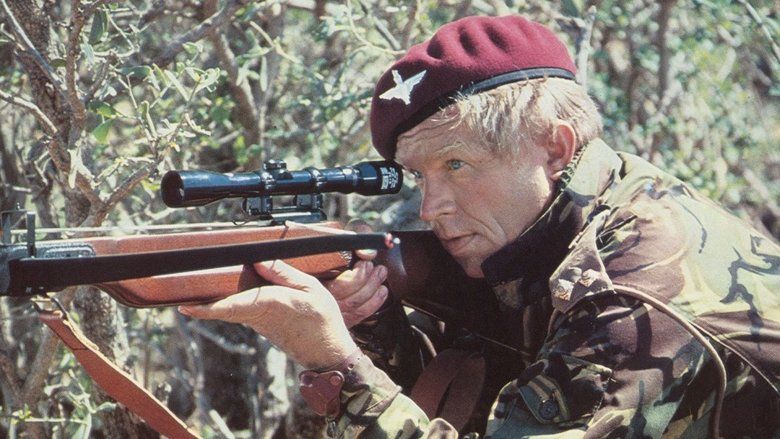 кадр из фильма Дикие гуси