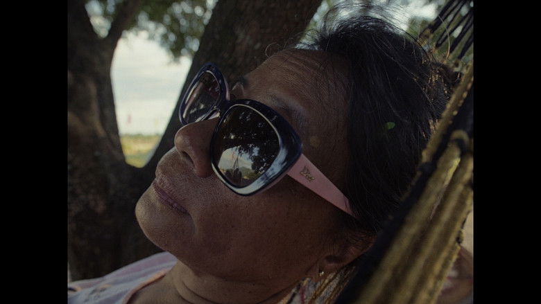 кадр из фильма In the Morning Sun