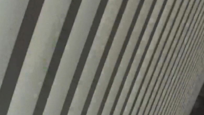 кадр из фильма What is a movie?