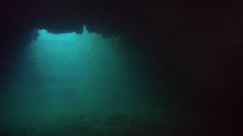 кадр из фильма Pearl Harbor: Into the Arizona