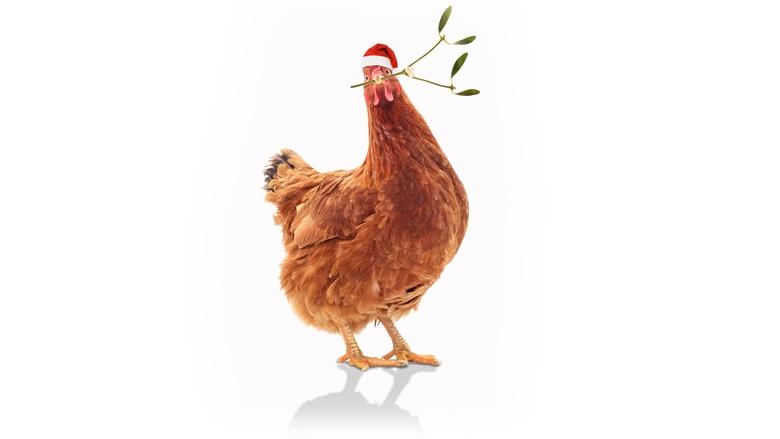 кадр из фильма Пернатое рождество