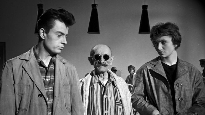 кадр из фильма Лунатики