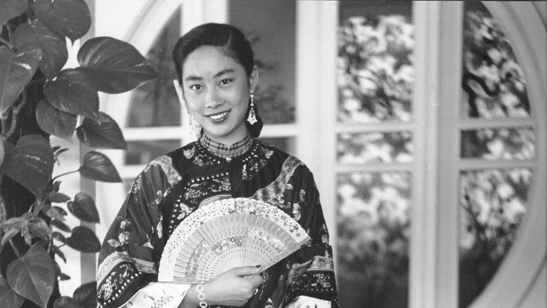 кадр из фильма Lisa Lu Plays Herself