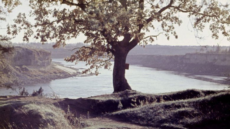 кадр из фильма Ieraudzīt Staburagu