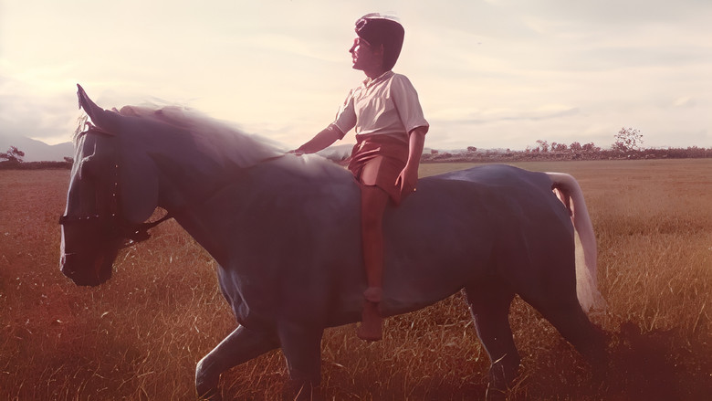 кадр из фильма O Cavalinho Azul