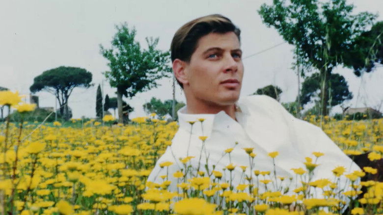 кадр из фильма Nus Masculins