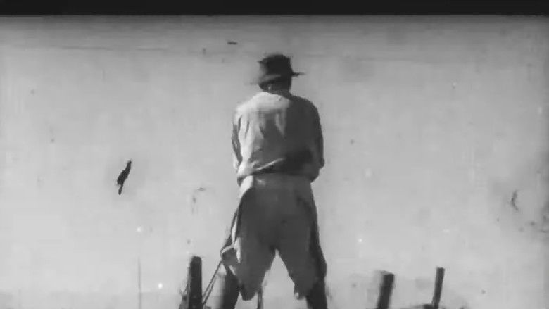 кадр из фильма Hachero nomás