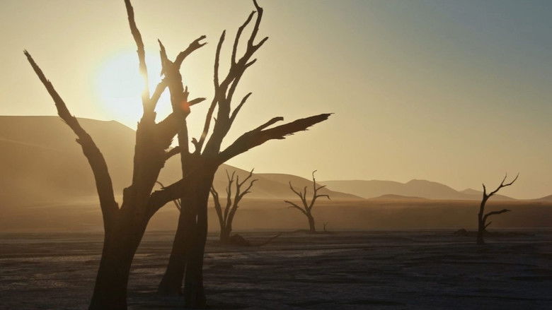 кадр из фильма Terre, Les Forces du Vivant