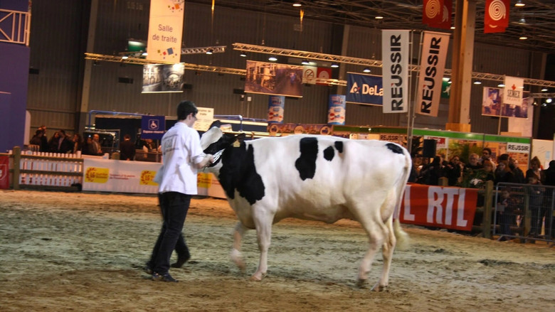 Dans les coulisses du salon de l'agriculture
