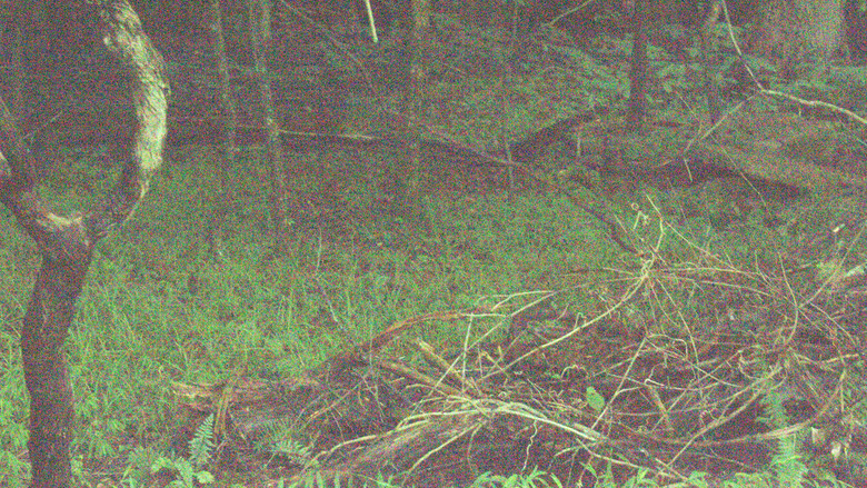 кадр из фильма The Inventory