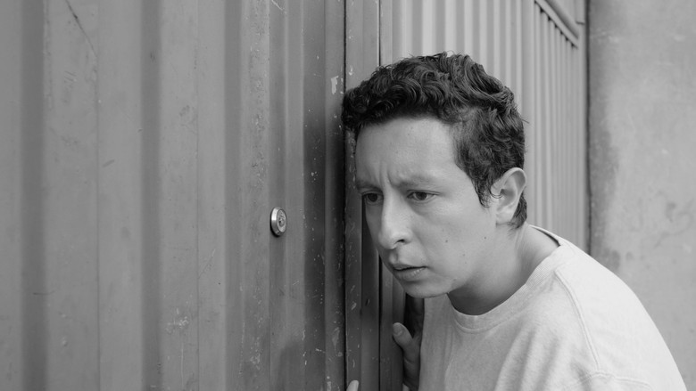 кадр из фильма Bailar