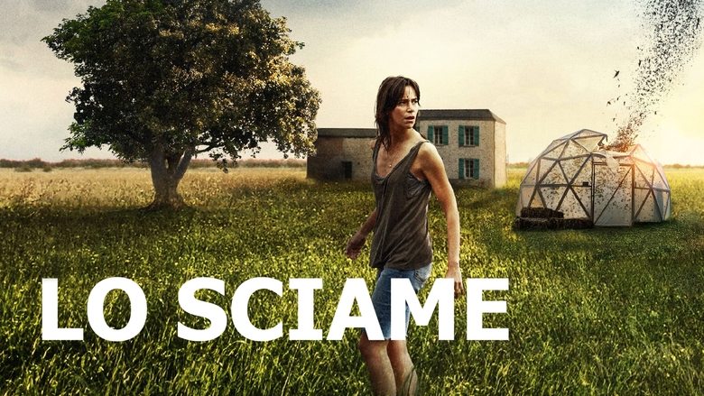 кадр из фильма Рой