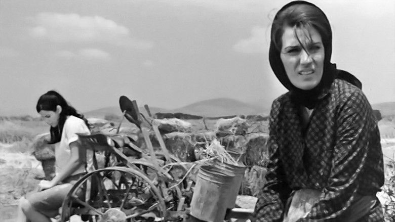 кадр из фильма Страх