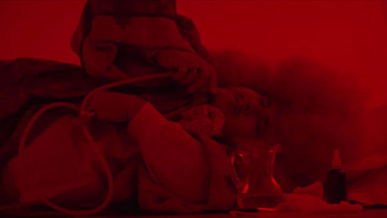 кадр из фильма Roi Soleil