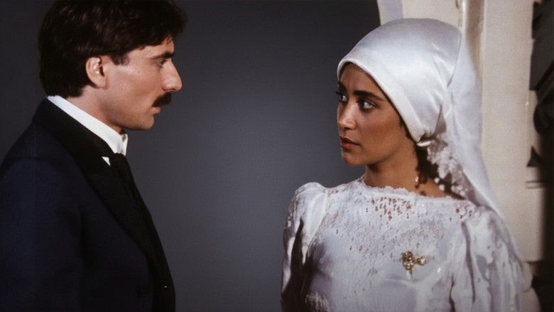 кадр из фильма Kuyruklu Yıldız Altında Bir İzdivaç