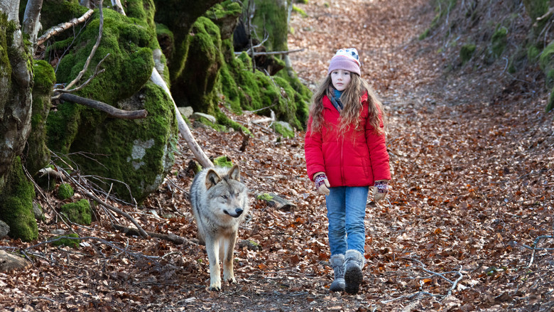 кадр из фильма Мой волк