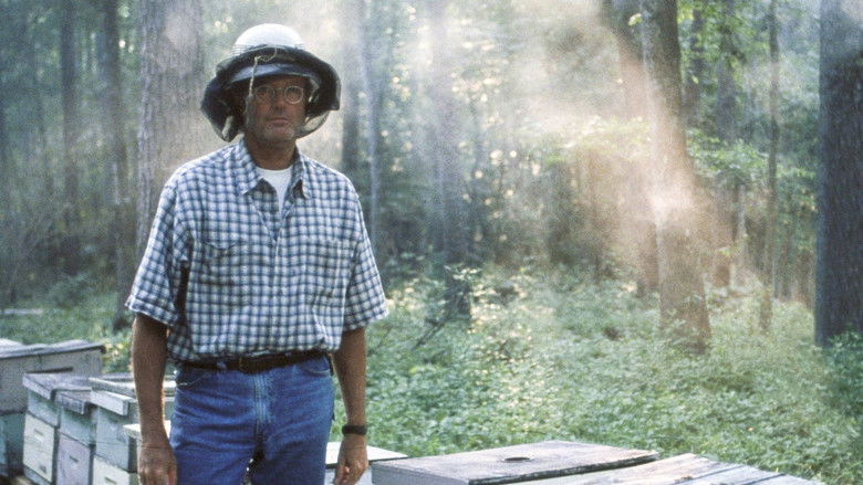 кадр из фильма Золото Ули