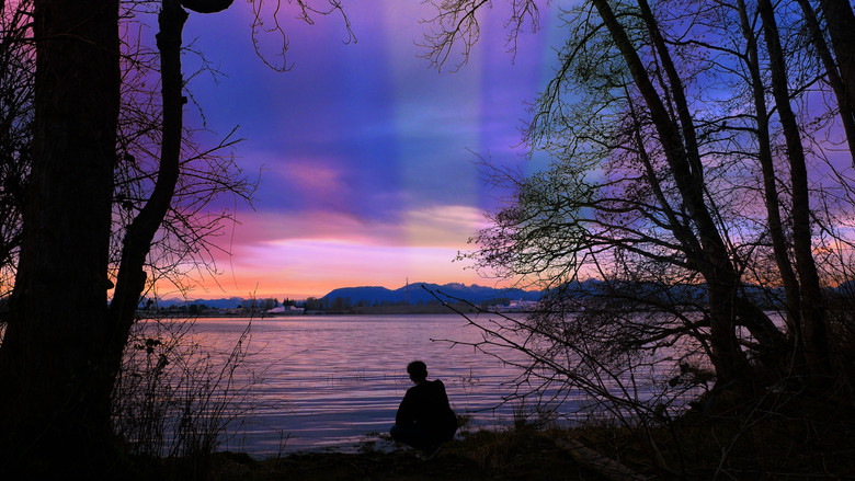 кадр из фильма My Fascination With The Butterfly Effect