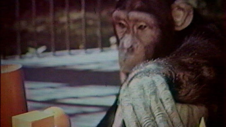 кадр из фильма Думают ли животные?